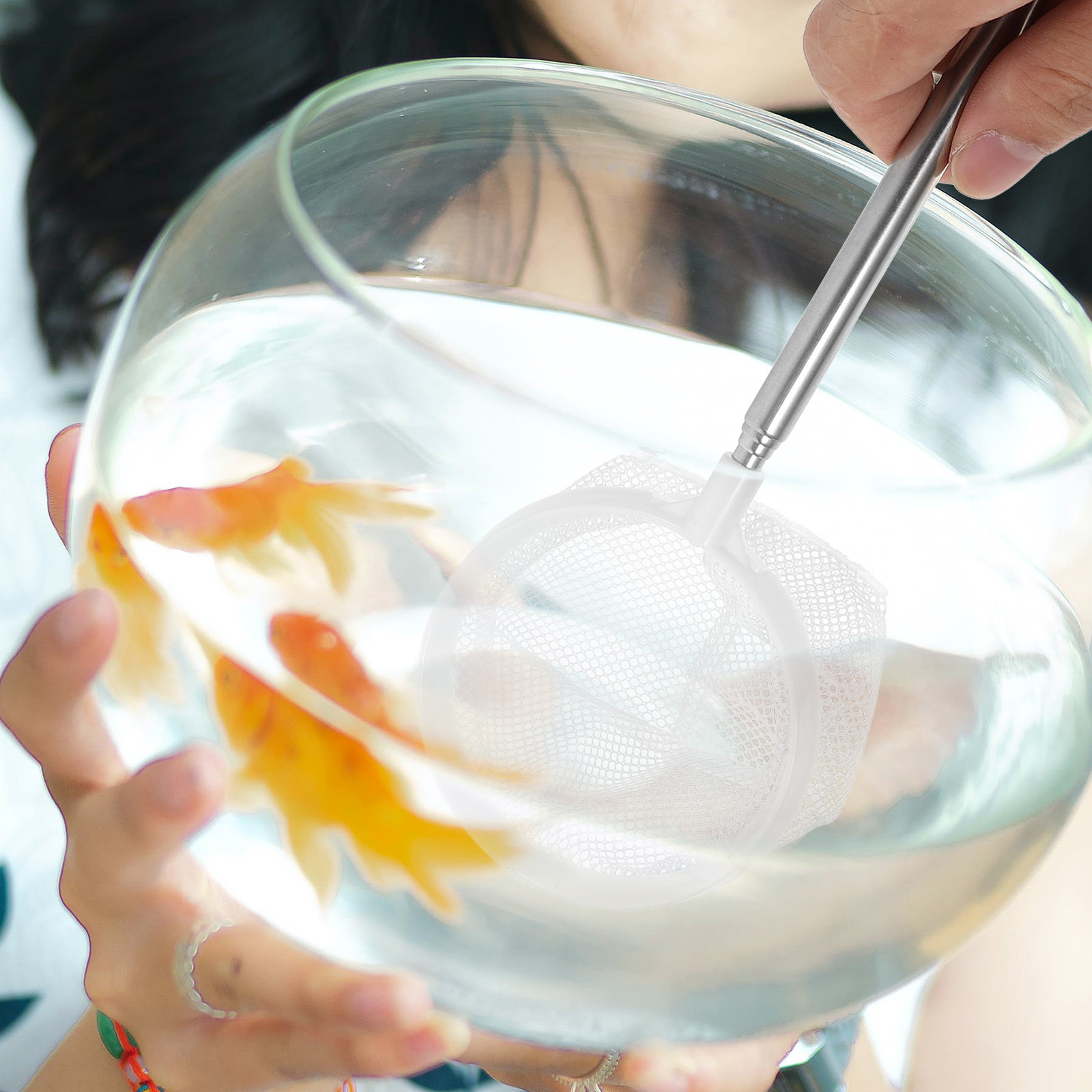 Detachable Telescopic Stainles - огляд і ціна Baby Food Shrimp